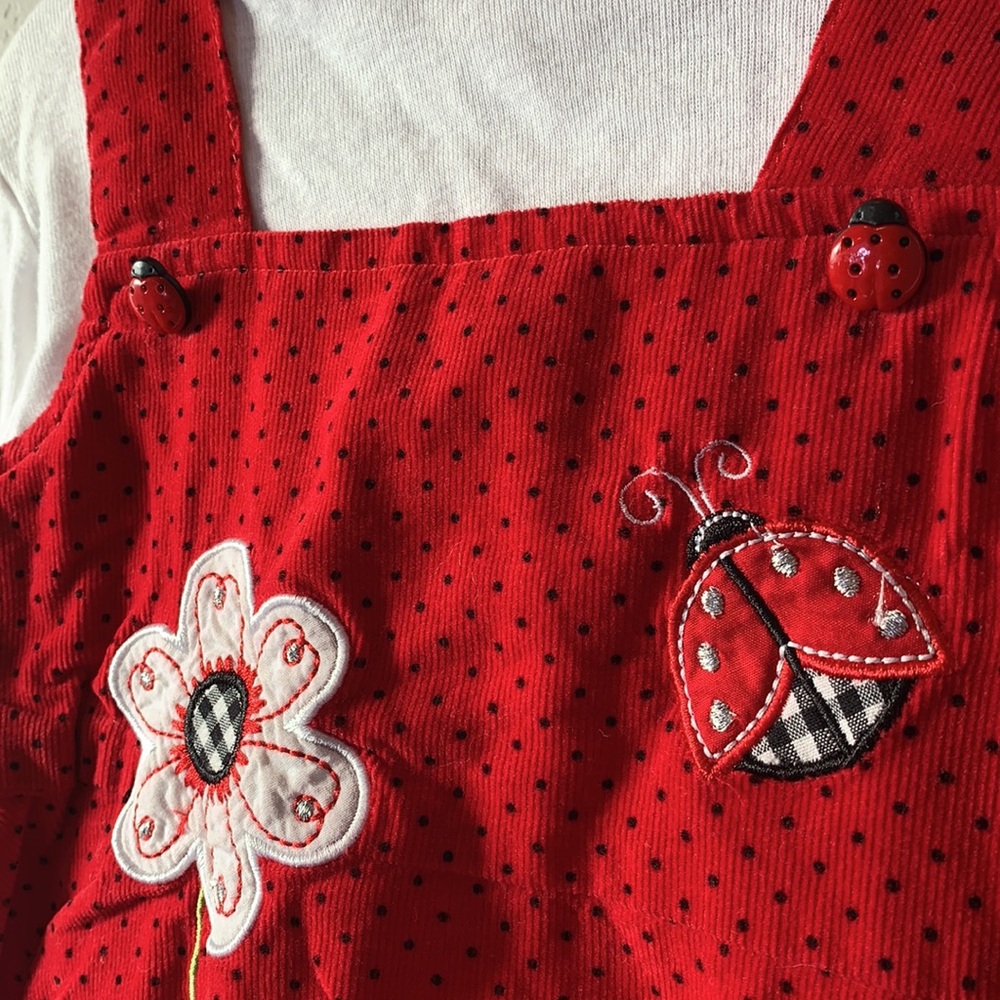 Blueberi boulevard lady bug corduroy Dress - Picture 5 of 8